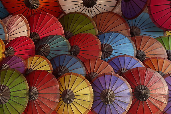 the parasols